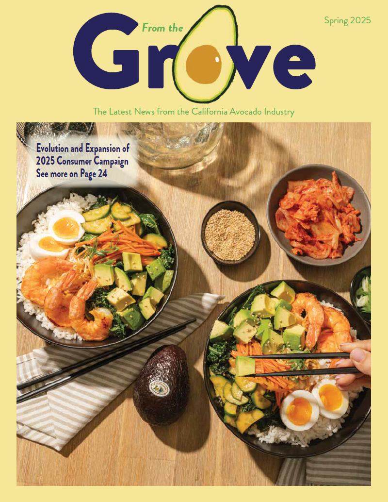 From the Grove magazine cover image of avocado rice bowls