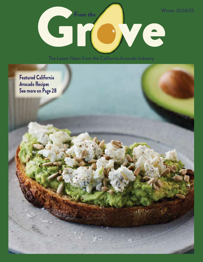 From the Grove magazine cover image of avocado toast
