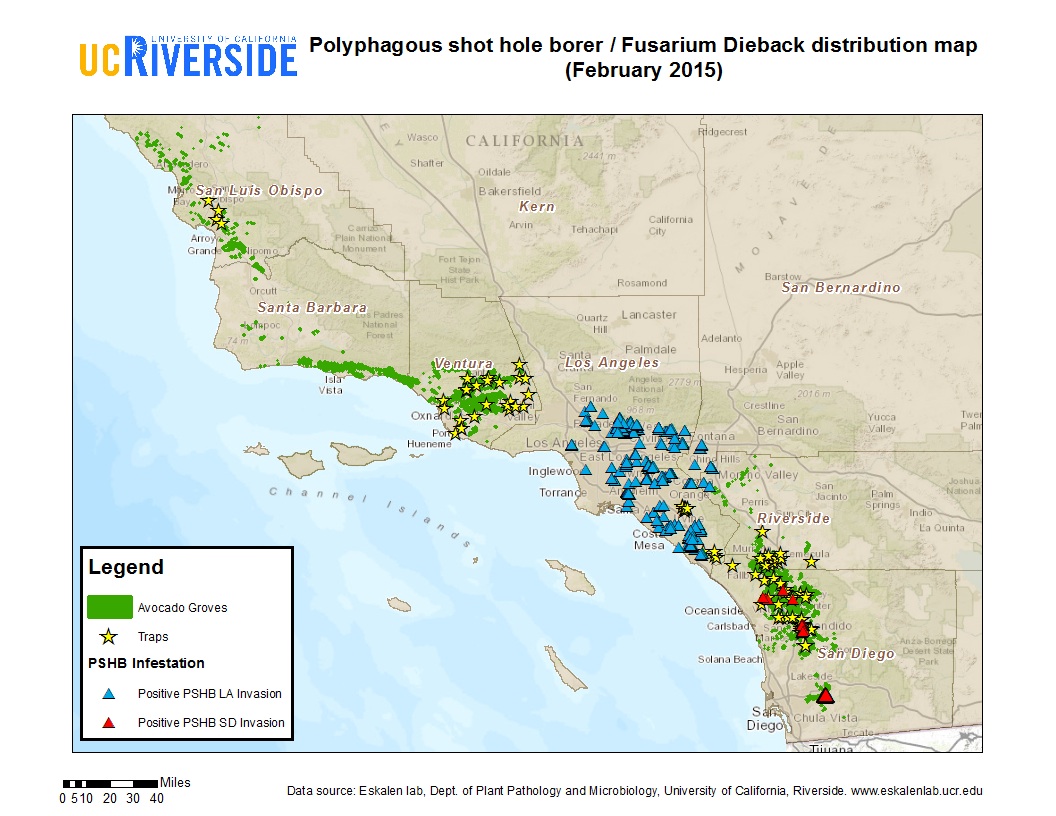 Polyphagous shot hole borer / Fusarium Dieback distribution map for Southern California.