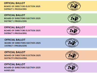 New CAC election ballots