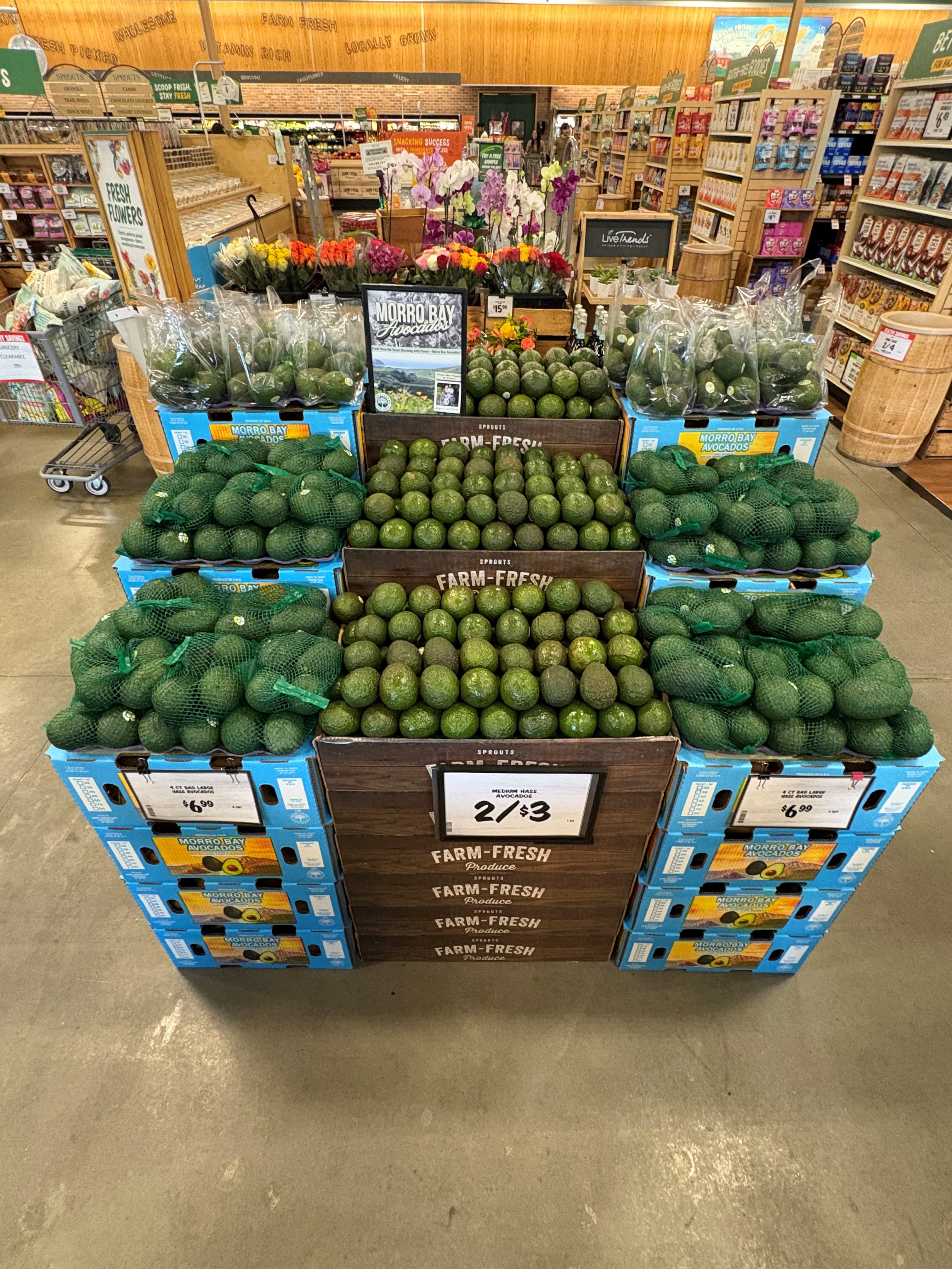 Morro Bay CA avocado promotion