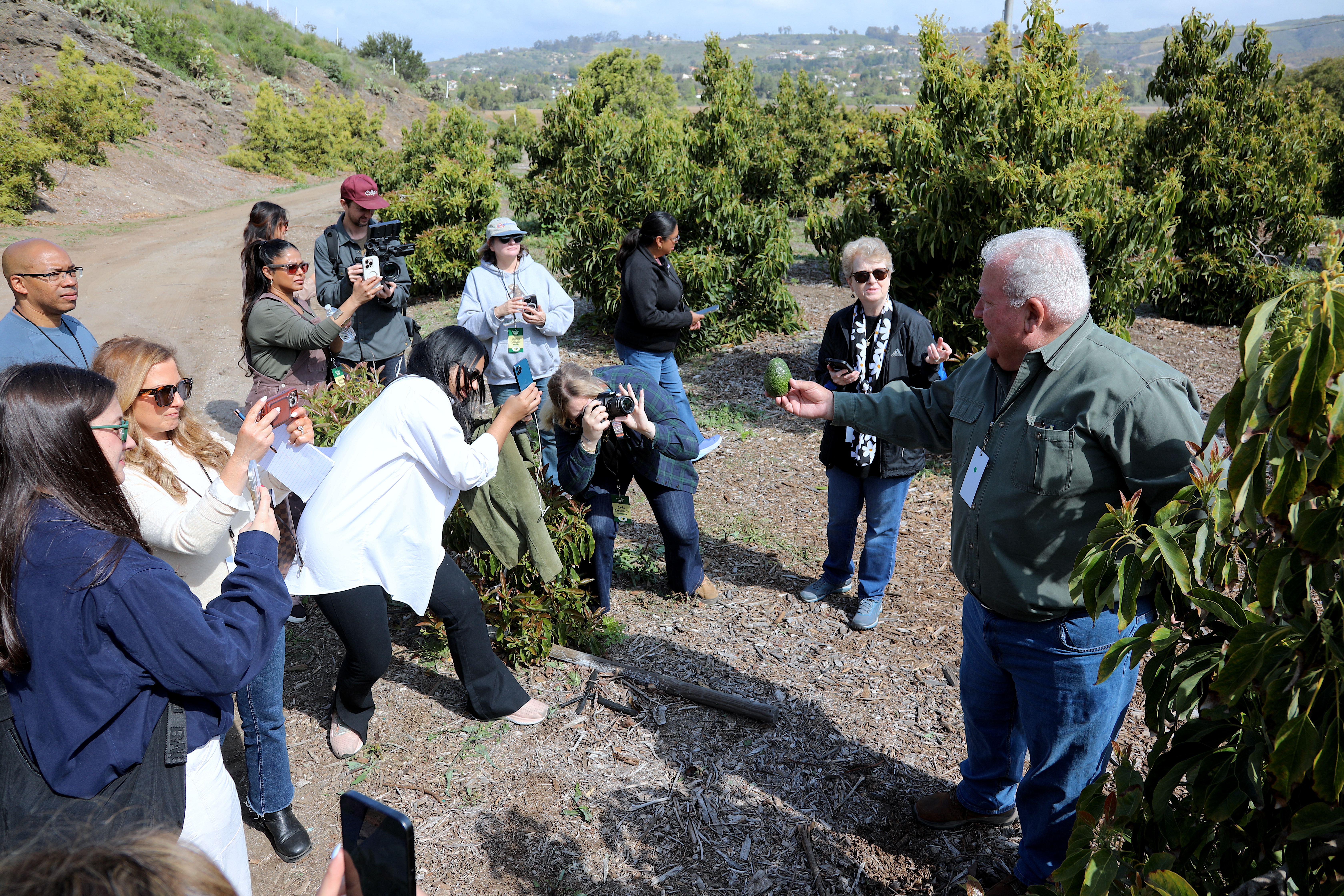 CA avocados grove tour John Lamb
