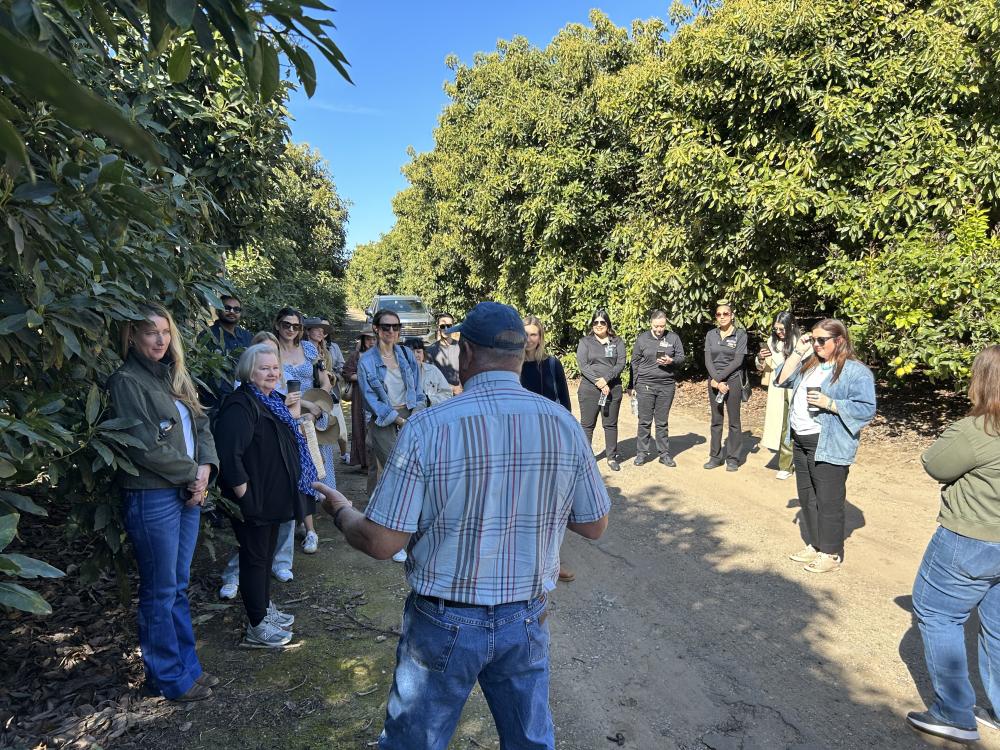 The influencers visited a grove in Carpinteria to learn from California avocado grower Rick Shade.