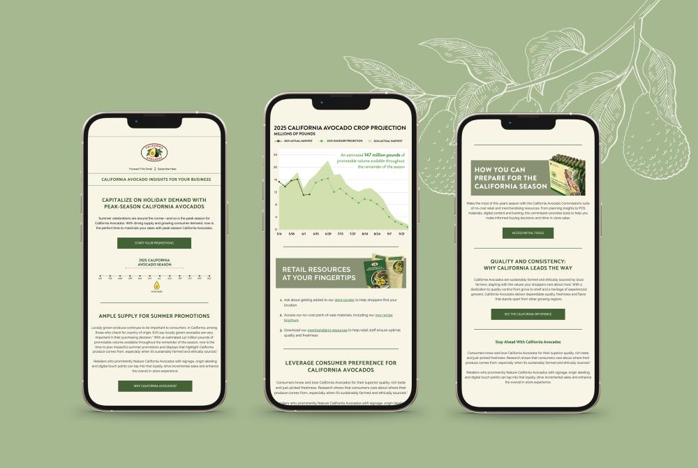 The California Avocado Commission’s Retail Newsletter delivers concise, visually engaging insights for busy retail professionals.