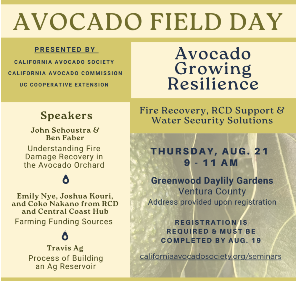CAS Field Day Avocado Growing Resilience