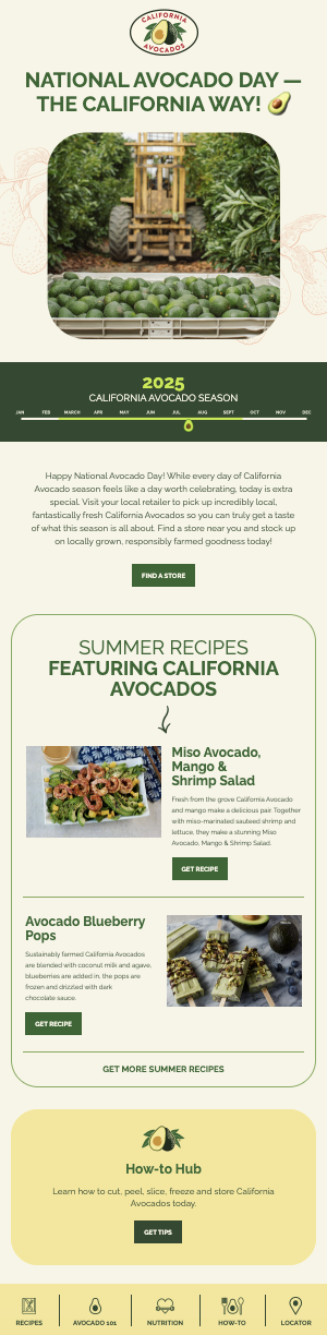 New email subscribers campaign
