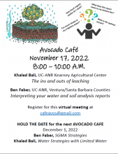 The Avocado Café is hosting a free webinar entitled, “Everything You Ever Wanted to Know About Leaching but Were Afraid to Ask”.