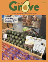 The Fall 2023 issue of From the Grove is now available online.