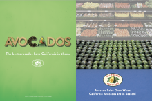 The Snack ad features California avocados in a grocery setting to showcase in-season avocado sales.