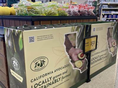 California avocado branded bins