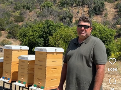 California avocado Jason Cole discusses pollination
