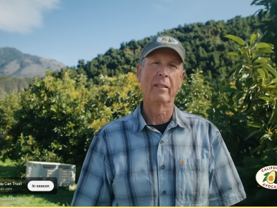 CA Avocado YouTube Video Ad