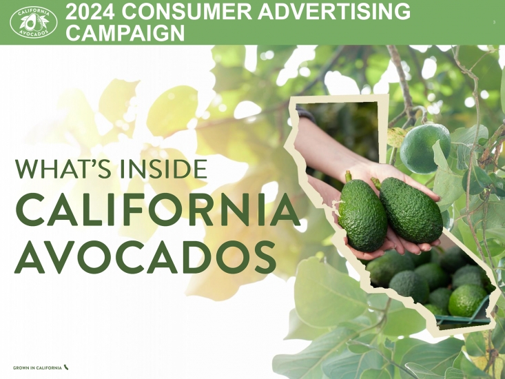 CAC’s marketing team provided a high-level overview of the new consumer advertising campaign.