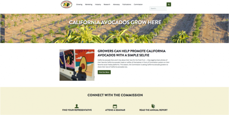 The redesigned California avocado grower website showcases the Commission’s new corporate brand colors and logo. 