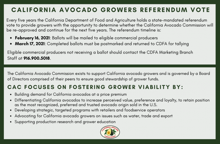 Referendum ballots will be mailed to eligible California avocado commercial producers on February 15, 2021 and must be postmarked and sent to CDFA for tallying by March 16, 2021. 