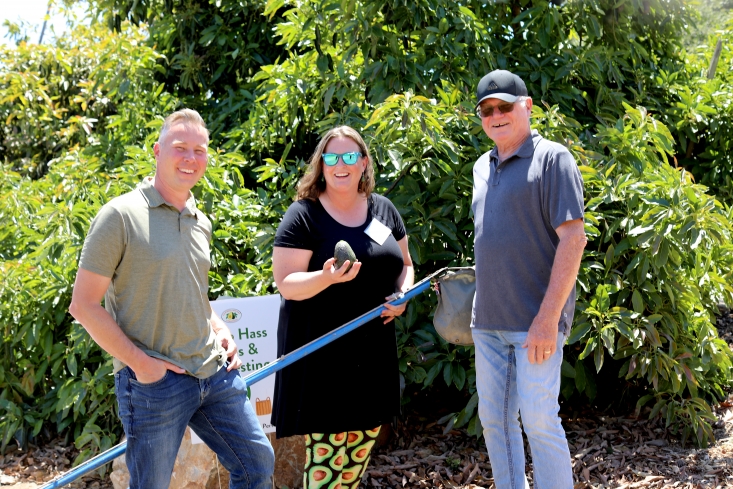 California avocado growers Chris Ambuul and Mike Sanders with reporter Pamela Riemenschneider showing off the avocado she picked.