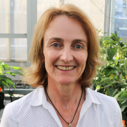 Dr. Liz Dann has worked extensively on avocado diseases in Australia.