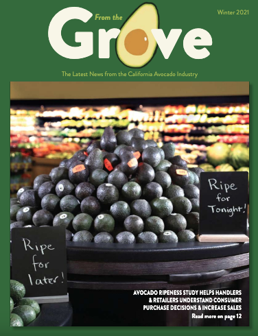 The Winter 2021 issue of From the Grove is now available on the California avocado growers website.