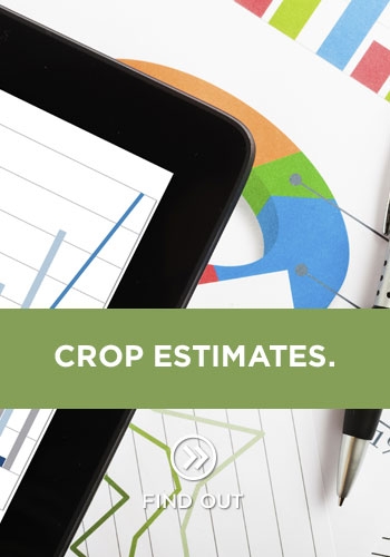 Crop estimates